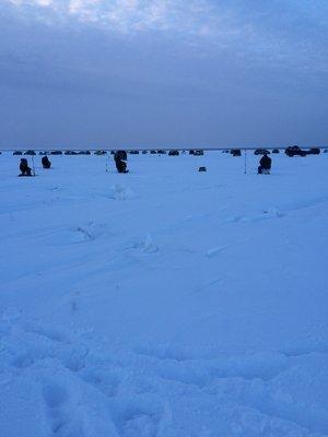 IMG_1306.thumb.JPG.56a09c5e2689e6f091022