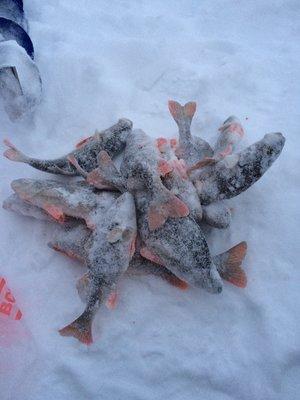 IMG_1312.thumb.JPG.234e4852b7638de284d13