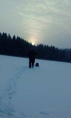 IMG_20160103_142046.thumb.jpg.f8088f1772