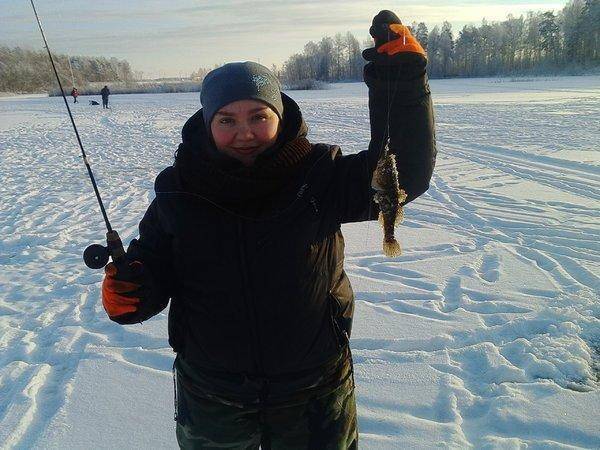 IMG_20160110_115024.thumb.jpg.41fe0df231