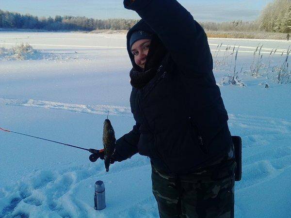 IMG_20160110_133308.thumb.jpg.7cd5d059af