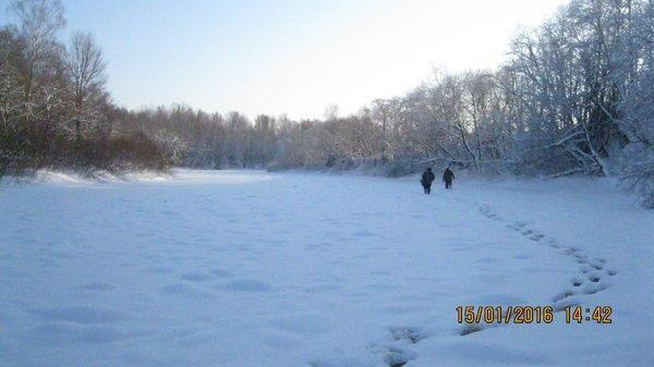 IMG_6314.thumb.JPG.f759a72bcd5711d19cc92