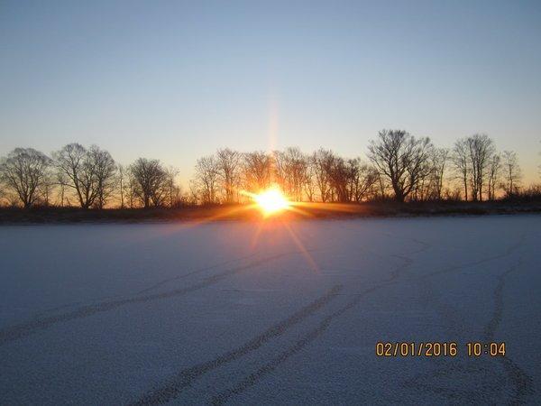 IMG_7841.thumb.JPG.4297dece73299940b7e8f