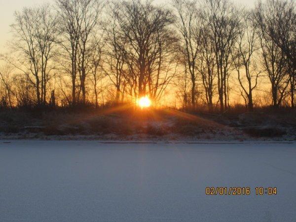 IMG_7843.thumb.JPG.8ab17e50c2ef33fb69f7a