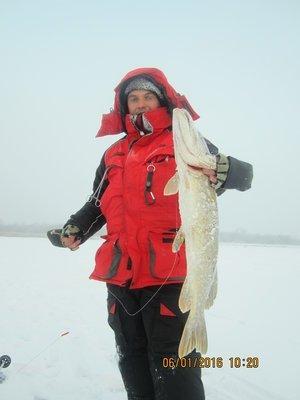 IMG_7860.thumb.JPG.bef13becdb97d712fc9d9