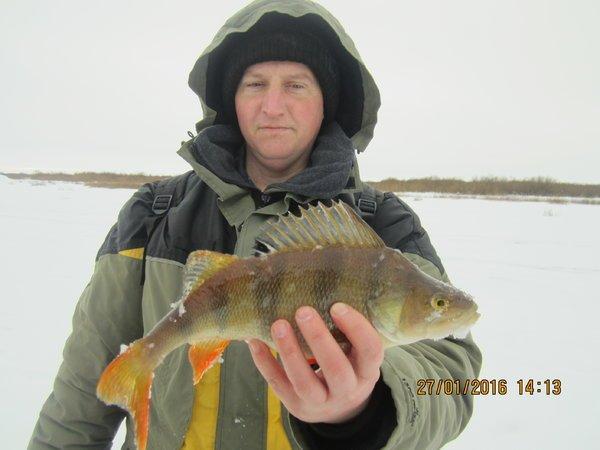 IMG_8005.thumb.JPG.1b850d522e218ebfa5f9c