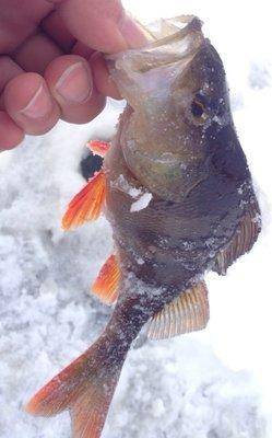 Sqcz7CfjZsw.thumb.jpg.6ca76915fc065f4454