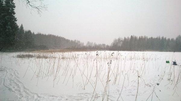 WP_20160103_004.thumb.jpg.8226121cbfe496