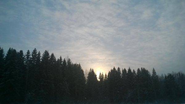 WP_20160103_012.thumb.jpg.641a414c9f0019