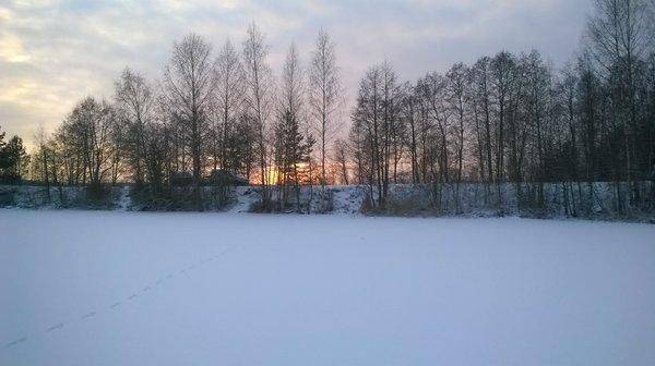 WP_20160103_016.thumb.jpg.f0943c5cd30674