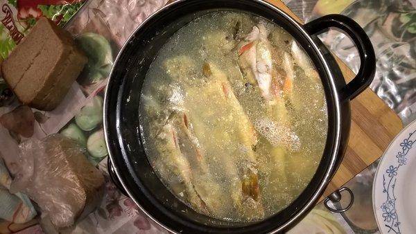 WP_20160122_19_34_04_Pro.thumb.jpg.42268