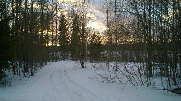 WP_20160130_025.thumb.jpg.87a0c627d29140