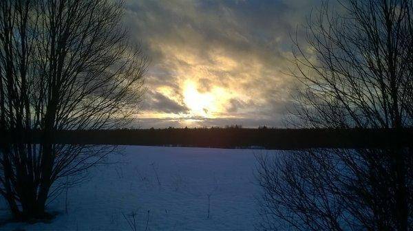 WP_20160130_027.thumb.jpg.1979b8675ba1d0