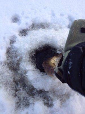 image.thumb.jpg.c21150a8e9378de2533372f9