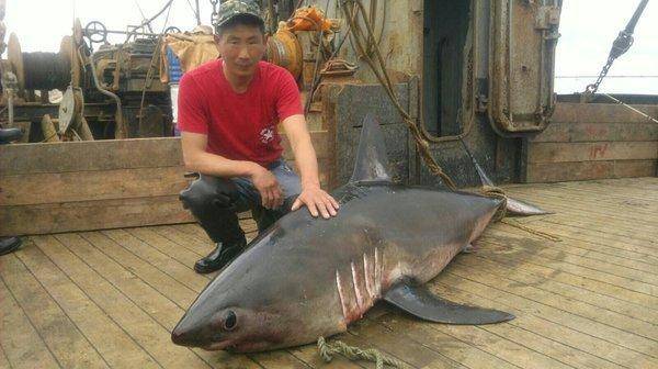 image.thumb.jpg.f84029e3577c288ce314cb88