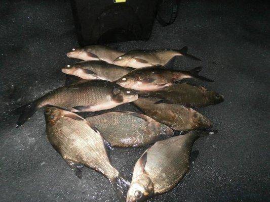 vvv.thumb.jpg.34200f415105101b04784095b0