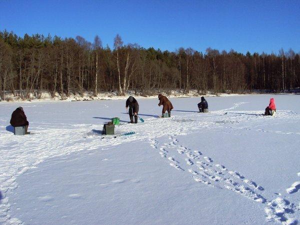 08.02.2016_2.thumb.JPG.4efbfa28b3be5c914