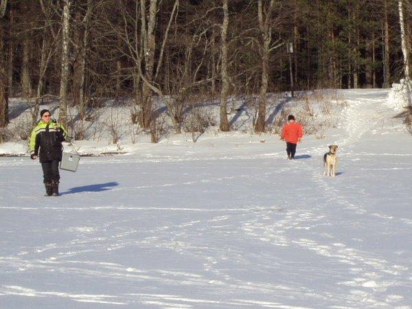 08.02.2016_3.thumb.JPG.77f6abcf568002f56