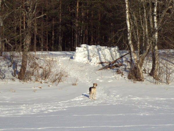 08.02.2016_4.thumb.JPG.8c5d5348fa2192580