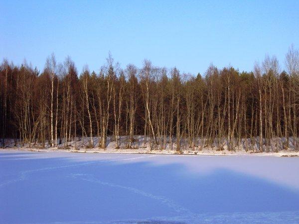 08.02.2016_6.thumb.JPG.b68d50b0be8ef1ec4