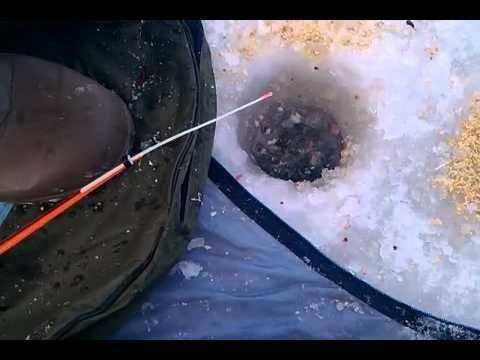 13.thumb.jpg.b16866f9fbdf94a552043741be8