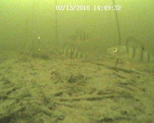 20160213144932.thumb.JPG.db325d14bdd82a0