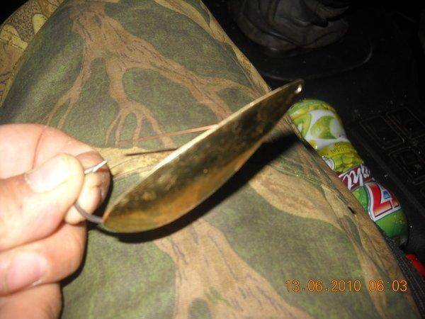 2аркацкий 009.jpg