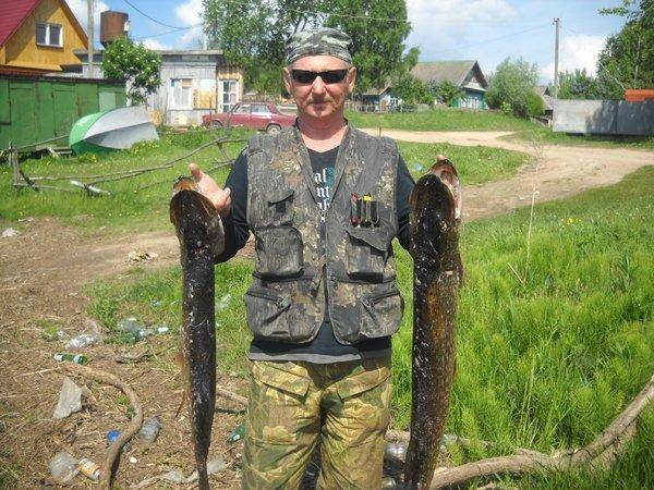 голино 059.jpg