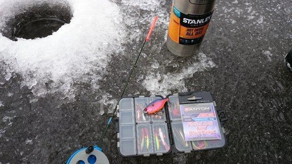 56b7a451ade7a_DSC_00601.thumb.JPG.a88167