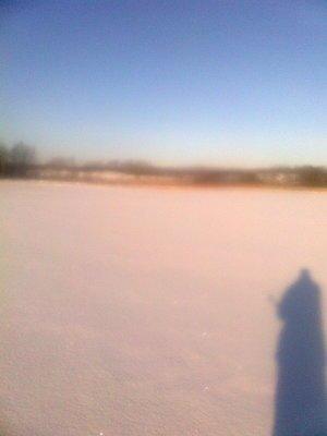 56b8d3e2da242_0650.thumb.jpg.1f223f6c5ef