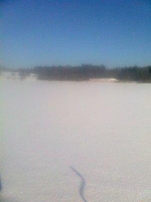 56b8d4053c772_0652.thumb.jpg.272642f855b