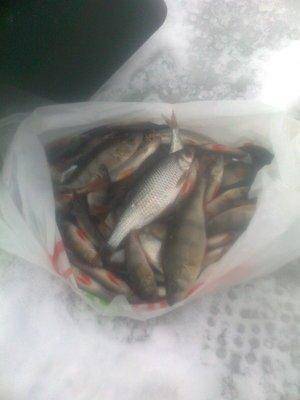 56b8d424a8125_0653.thumb.jpg.7ad3a95574d