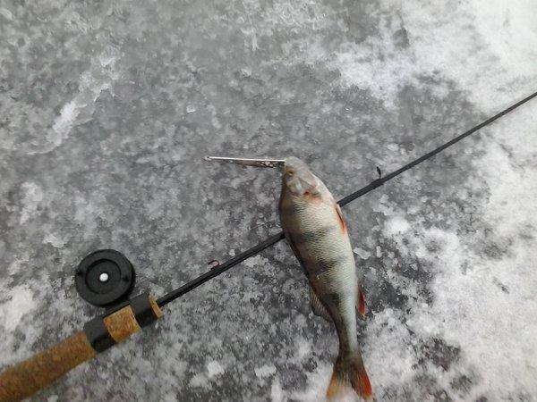 56ba2f96ef513_2016-02-0716.40.43.thumb.j