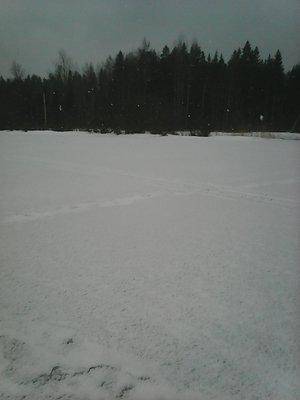 56be0baf98d44_12.02.2016007.thumb.jpg.09