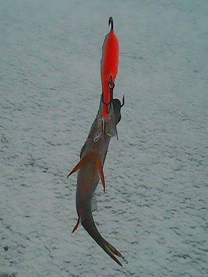 56be0bd46e027_12.02.2016009.thumb.jpg.55