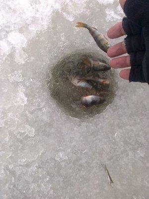 56c386dd71be0_2814.thumb.jpg.b7c903321ac