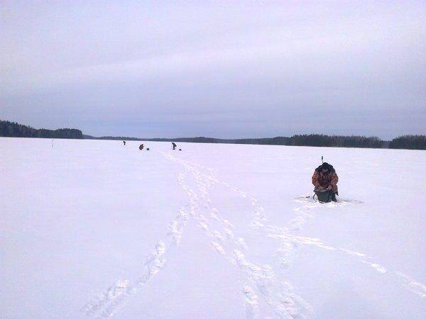 56c6160daa5ea_1966.thumb.jpg.88349b6d90e