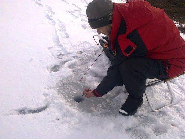 56c618b356b2d_1983.thumb.jpg.d840470090c