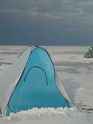 56c9e355a0b4f_21.02.2016025.thumb.jpg.9f