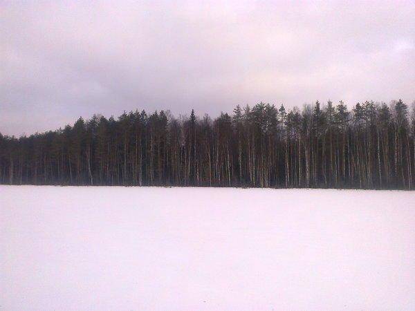 56ca01f945fe9_2845.thumb.jpg.2b65c84b5ab