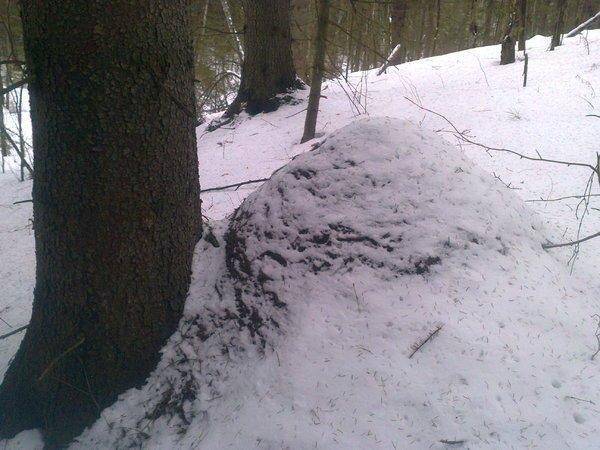 56ca0b0b4aa14_2844.thumb.jpg.6c477826a9b