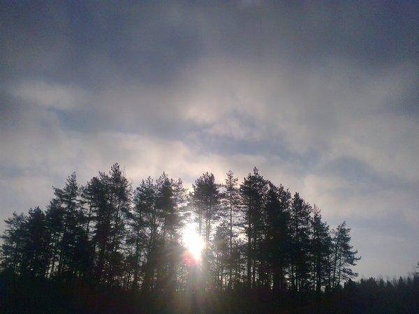 56ca0b1a51a5e_2848.thumb.jpg.66c68352404