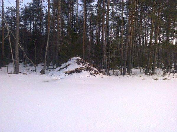 56ca0b22e0251_2849.thumb.jpg.c6e81755e35