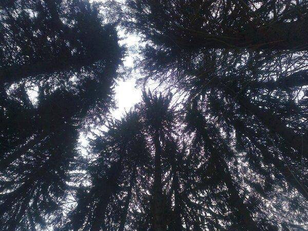 56ca0b302d557_2843.thumb.jpg.e07b49593b6