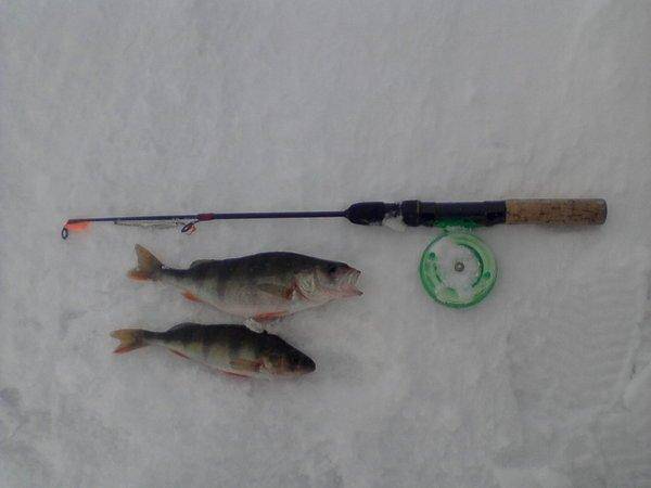 56cc829c1dba9_-0101.thumb.jpg.57b2341058