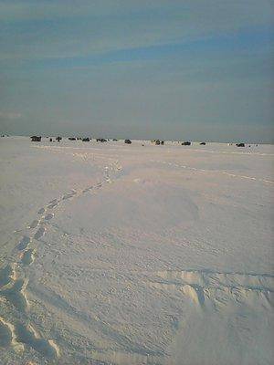 56d1da2fae97c_27.02.2016020.thumb.jpg.07