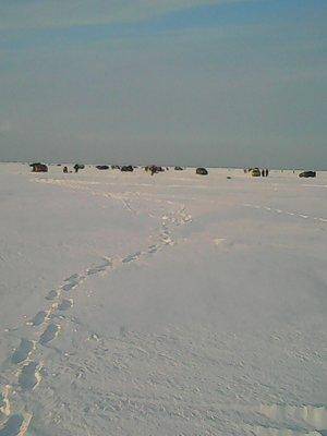 56d1da5512a76_27.02.2016021.thumb.jpg.47