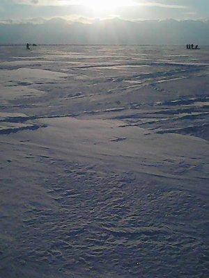 56d1da701ac79_27.02.2016023.thumb.jpg.8a