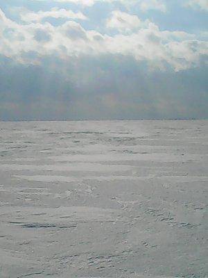 56d1daace4328_27.02.2016025.thumb.jpg.c0