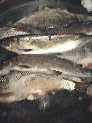 56d1daf0275df_27.02.2016031.thumb.jpg.a7